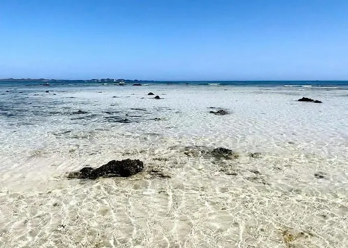 Amrita * La Oliva